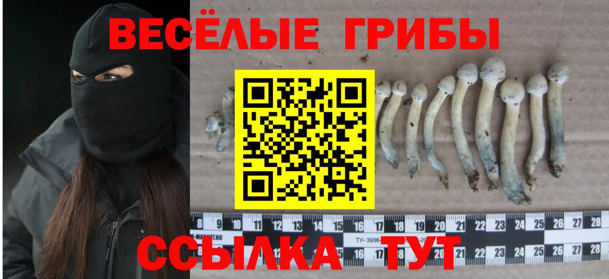 Галлюциногенные грибы Cubensis Кумертау
