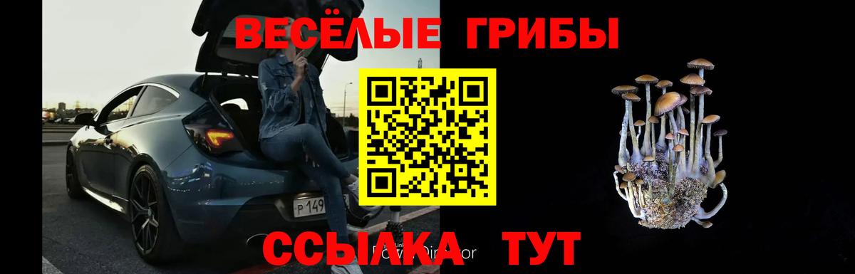 что такое наркотик  Псилоцибиновые грибы мухоморы  Псилоцибиновые грибы Psilocybe  Вход с VPN  Кумертау 